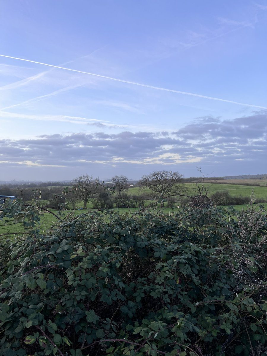 Nigel Walsh 🙌🏻 tweet media