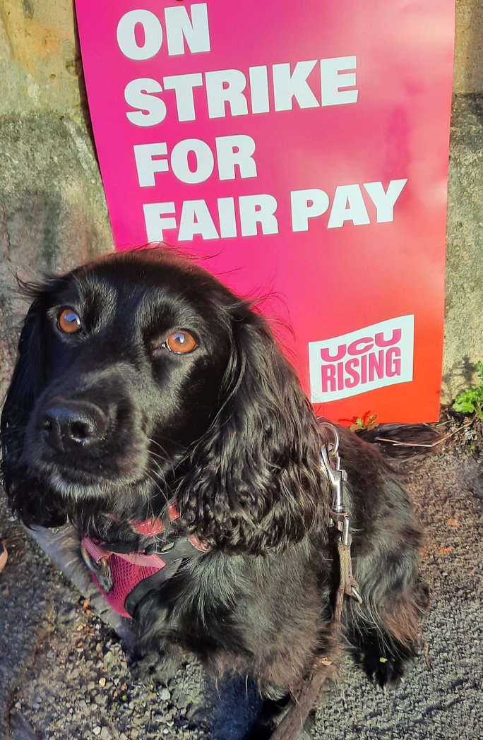 Striking today for fairer pay, pensions and workload with @ucuglos @ucu because #EnoughIsEnough #PayAttention #UCURising #UCU #UCUStrike #DogsOnPicketLines #UCUStrikes