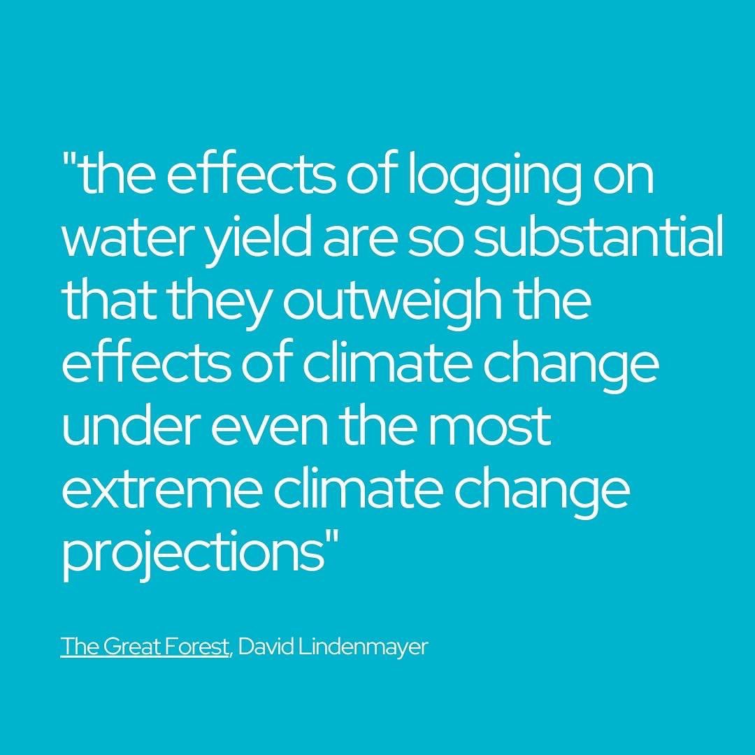 Sophie__Torney's tweet image. Day 3, reason 3.

Logging native forests not only uses the equivalent water for a quarter of a million people, it also destroys natural filtration that contributes to Victoria&apos;s pristine water. 

#SpringSt #Auspol #stopnativelogging