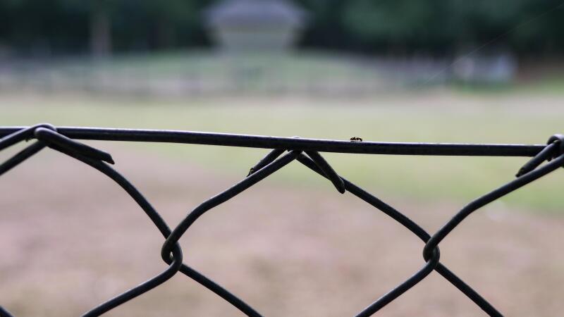 Gluren bij de Buren? Nieuwsgierig? Op De Boswerf komt Merel. Zij is student fotografie. Zij wil haar gevoel bij het Hertenkamp delen. 
Kijk ook eens op Gluren bij de Buren (glurenbijdeburen.nl/nl/programma/z…) 

Toegang gratis | aanvang: 12.45u, 14.15u en 15.45u | vol = vol