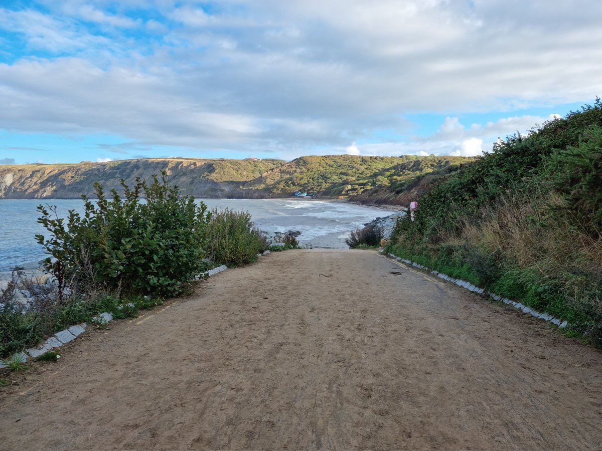 Thomas Shacklady tweet media