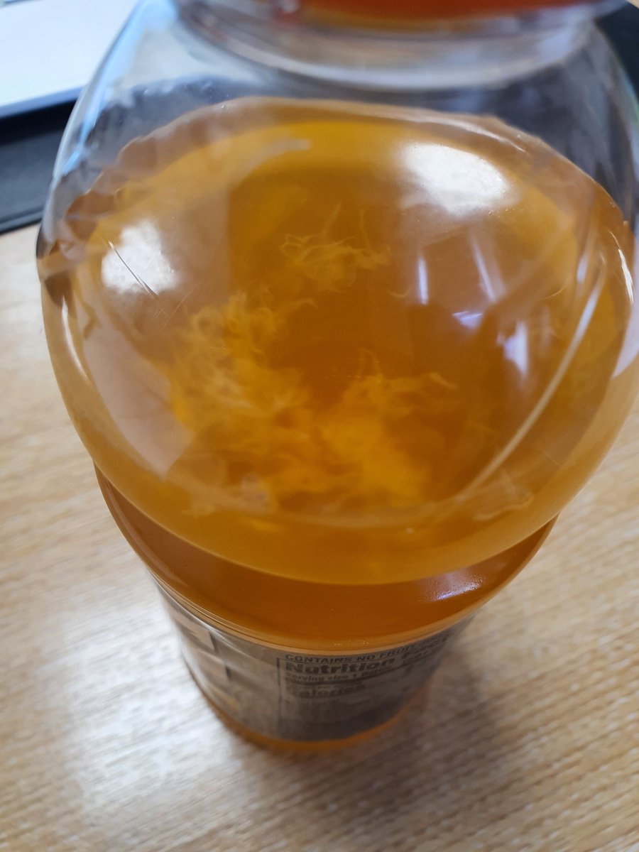 KeiranForbesss's tweet photo. @Gatorade Can you explain that these long white fibers in my orange thirst quencher are? Quick Google check brings up mould! https://t.co/psniqXVr45