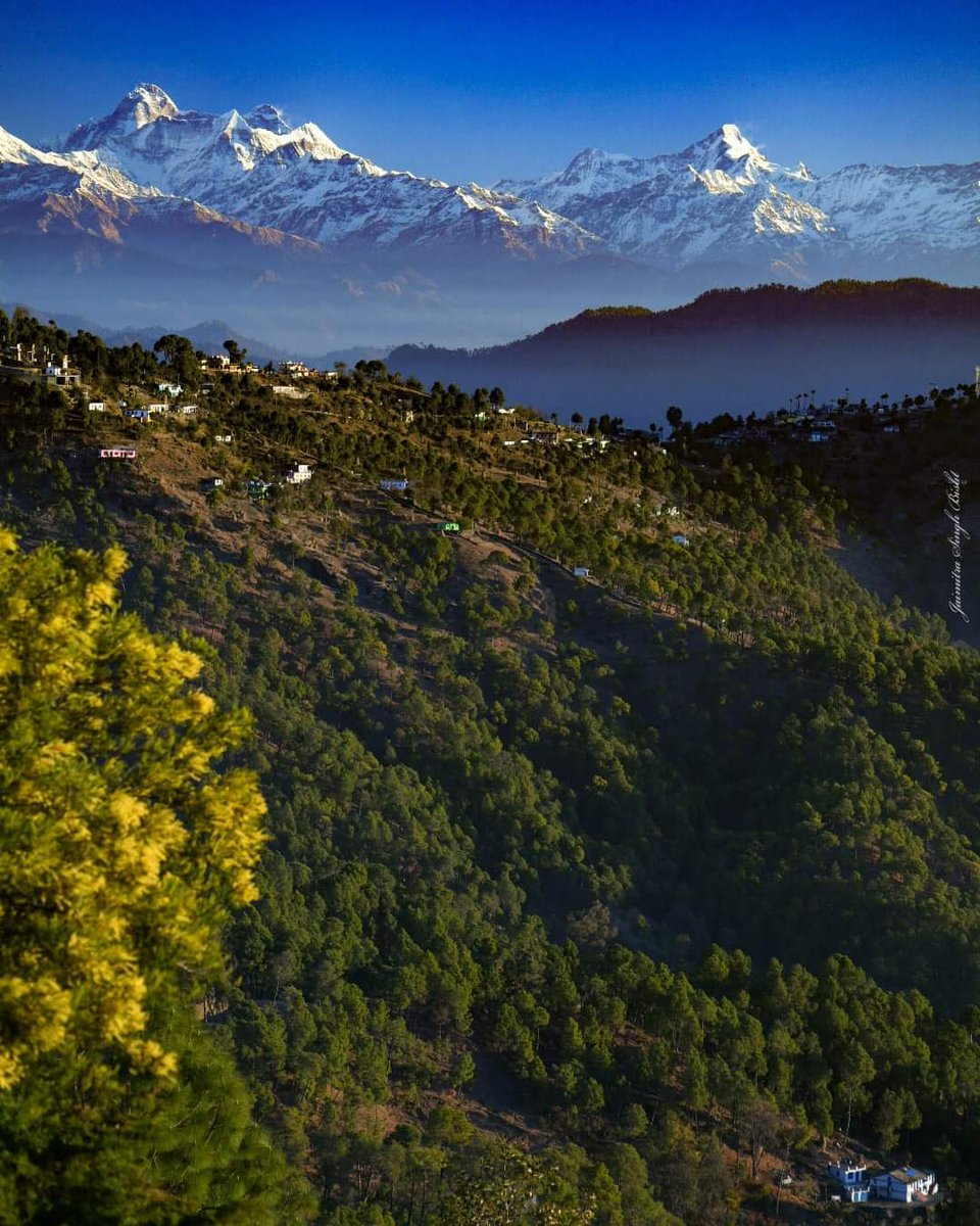 UttarakhandLOG's tweet image. Spring Beauties, Nanda Devi &amp;amp; Nanda kot! 🏔️❤
📍 #Kasardevi, #Almora,  
#Uttarakhand, #India
📸:- fb.com/jaimitra | 28th Jan, 2023
 - #UttarakhandLandOfGods