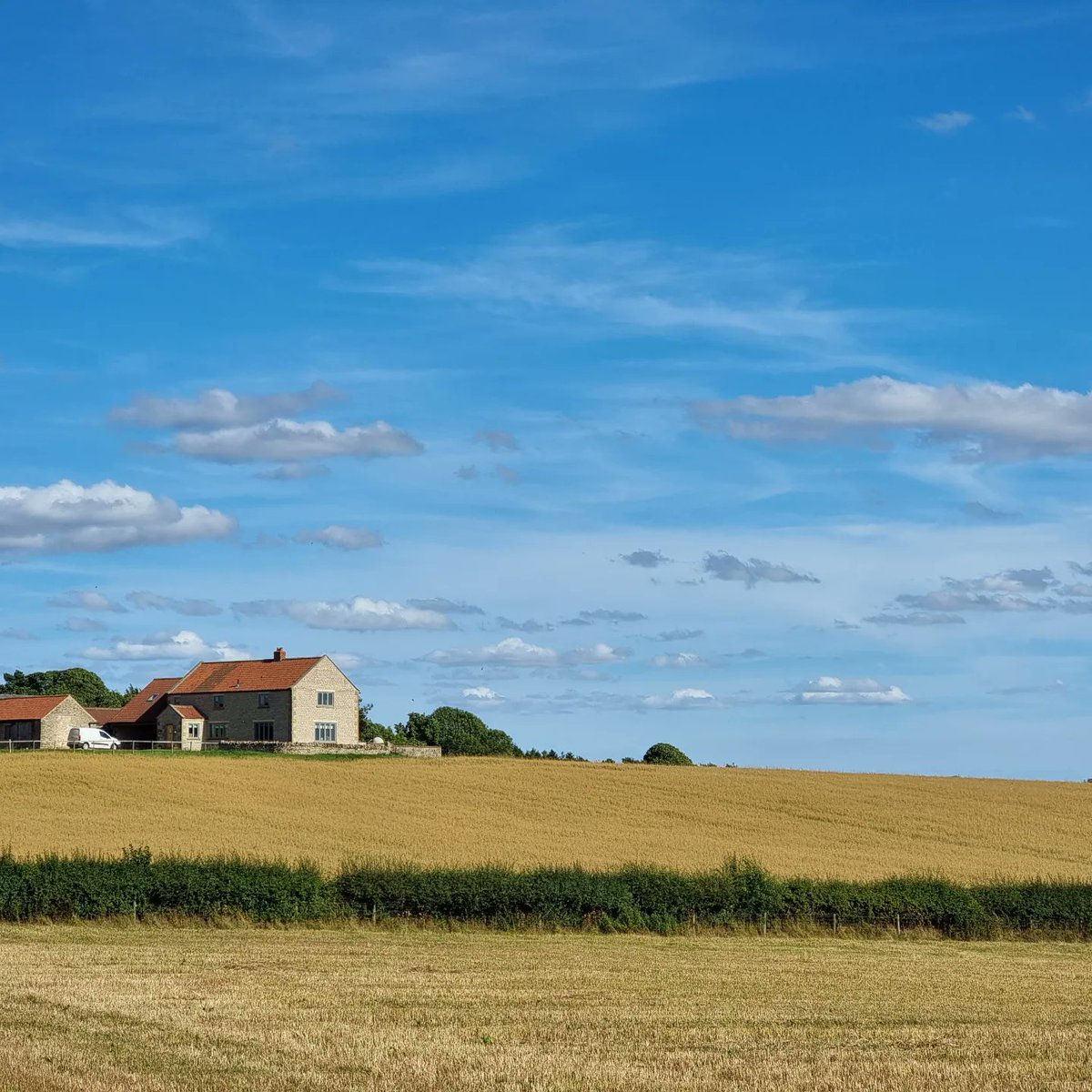 Thomas Shacklady tweet media