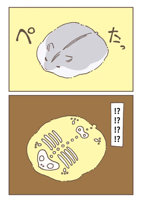#絵柄が好みって人にフォローされたい 
ハムスターが好みって人に見て頂きたいです〜〜!!!!!!!!!!!!!!!!!!!!! 