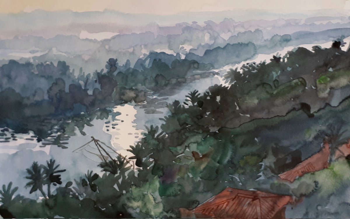 Misty and mysterious  - Kerala's backwaters at dawn #kerala #keralabackwaters #india #dawn #earlymorning #mist #watercolour #painting