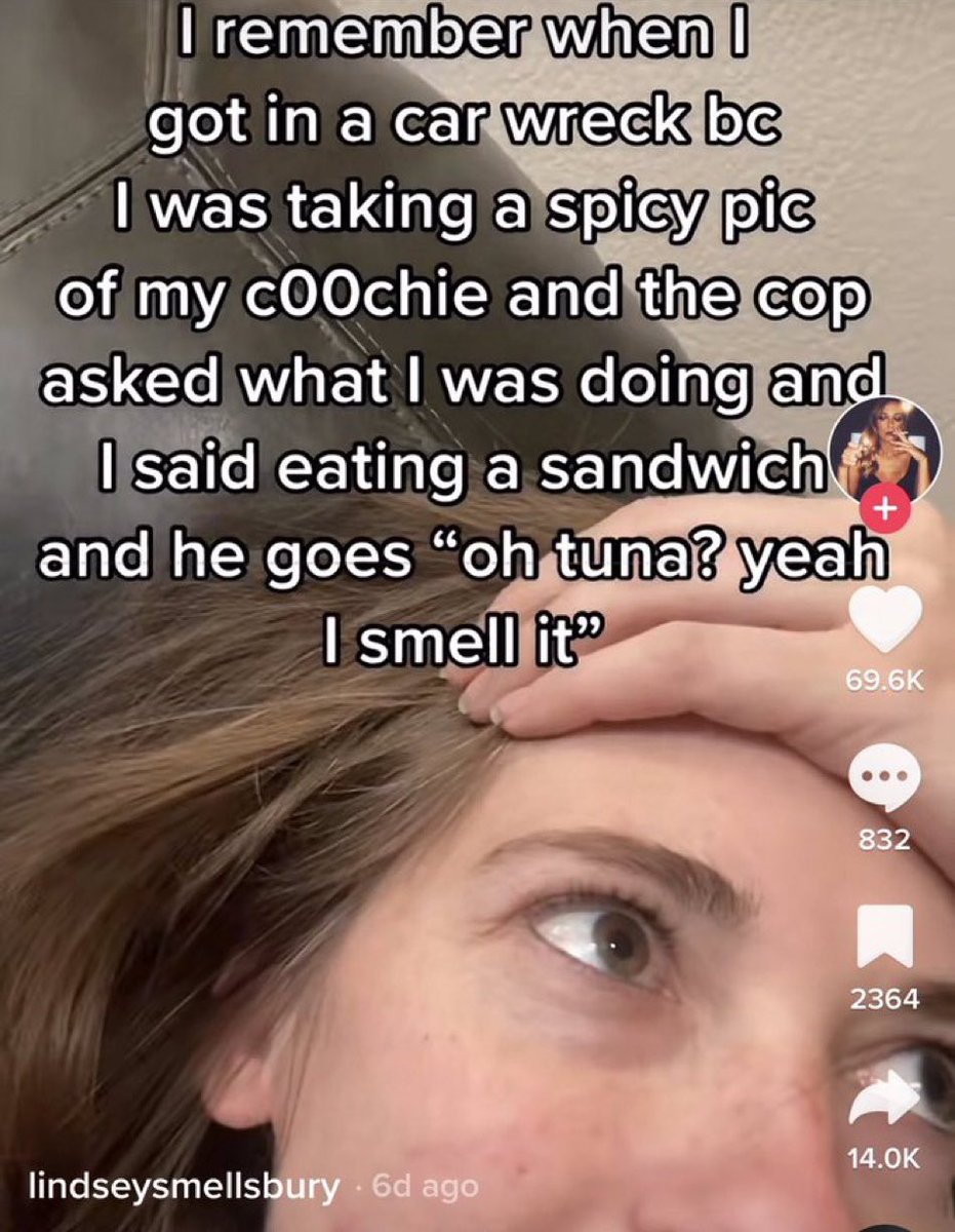 Wild Posts tweet media