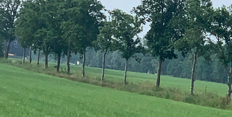 Marijn van der Velde (@marijnvdv78) on Twitter photo ** JOB @ the JRC <a href="/EU_ScienceHub/">EU_ScienceHub</a> - join our Team to work on Quantifying the share of Landscape Features across the EU using #LUCAS 2022 in-situ data! Deadline: 28 Feb, Code: 2023-IPR-D5-FGIV-022392 - ISPRA - pdf for details:
recruitment.jrc.ec.europa.eu/?site=IPR&type… #CAP #data #landscape #ecology ** JOB @ the JRC <a href="/EU_ScienceHub/">EU_ScienceHub</a> - join our Team to work on Quantifying the share of Landscape Features across the EU using #LUCAS 2022 in-situ data! Deadline: 28 Feb, Code: 2023-IPR-D5-FGIV-022392 - ISPRA - pdf for details:
recruitment.jrc.ec.europa.eu/?site=IPR&type… #CAP #data #landscape #ecology