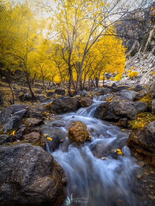 chookia's tweet photo. Golden Rock  II Fairy Meadows - Pakistan https://t.co/Cw2ySSwN5M