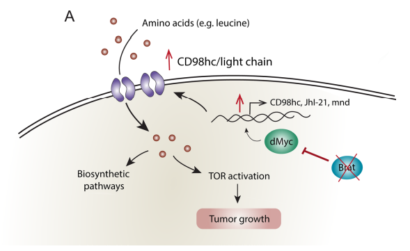 Catarina Homem tweet media