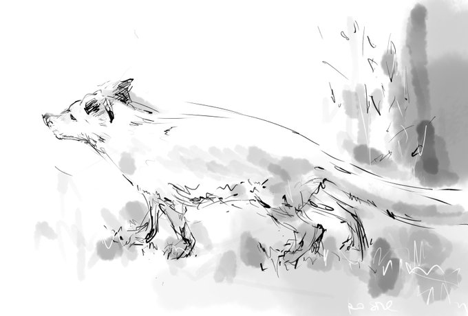 いままで描いた動物(抜粋)。
オオカミと鳥は、お借りした雪景色の写真を加工して描き足したもの。 