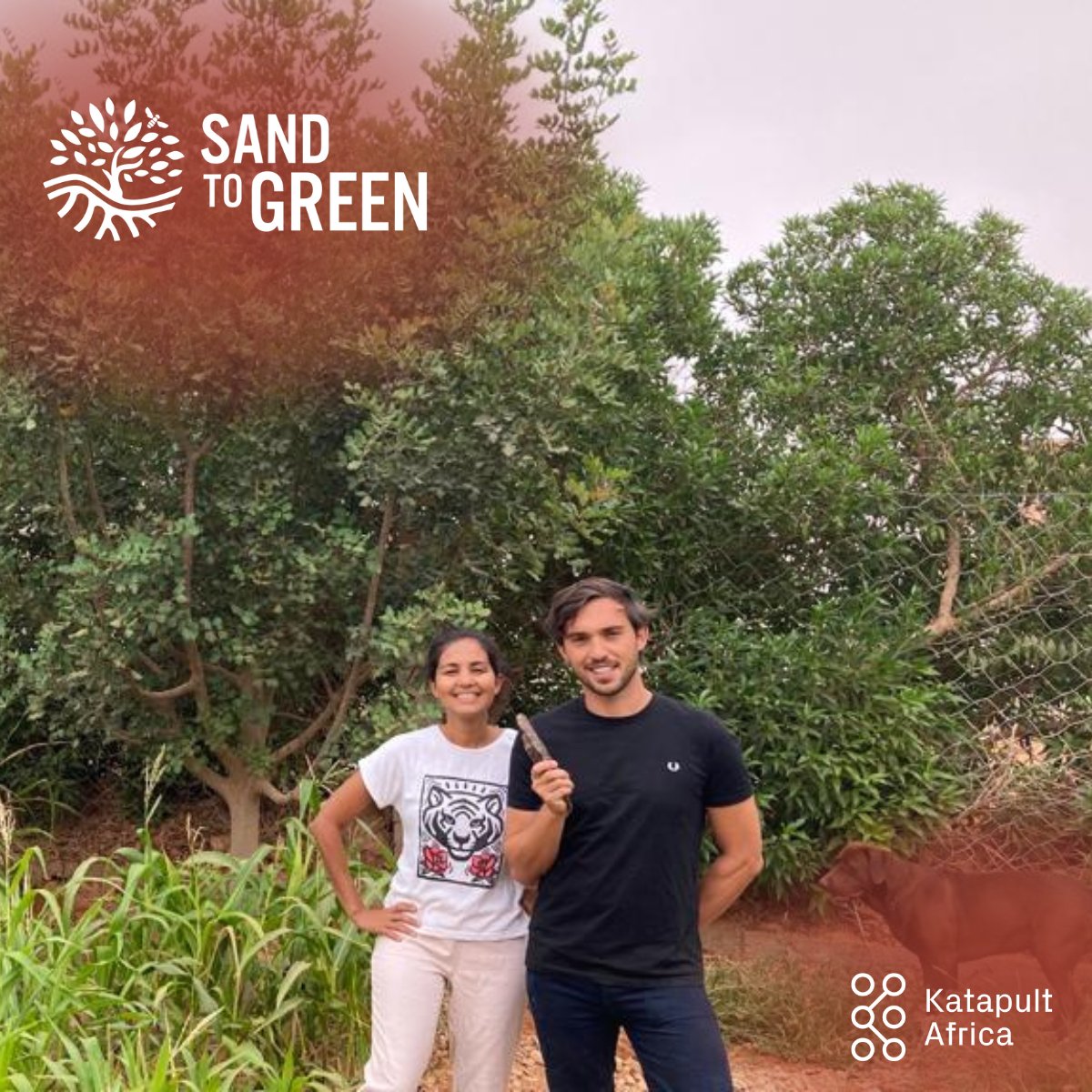 Katapult Impact tweet media