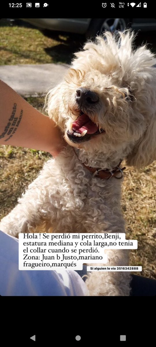 PauAguilera1's tweet photo. Holiiii porfa podrían compartir !! Es muy importante encontrarlo https://t.co/4nr0CGJ9pO