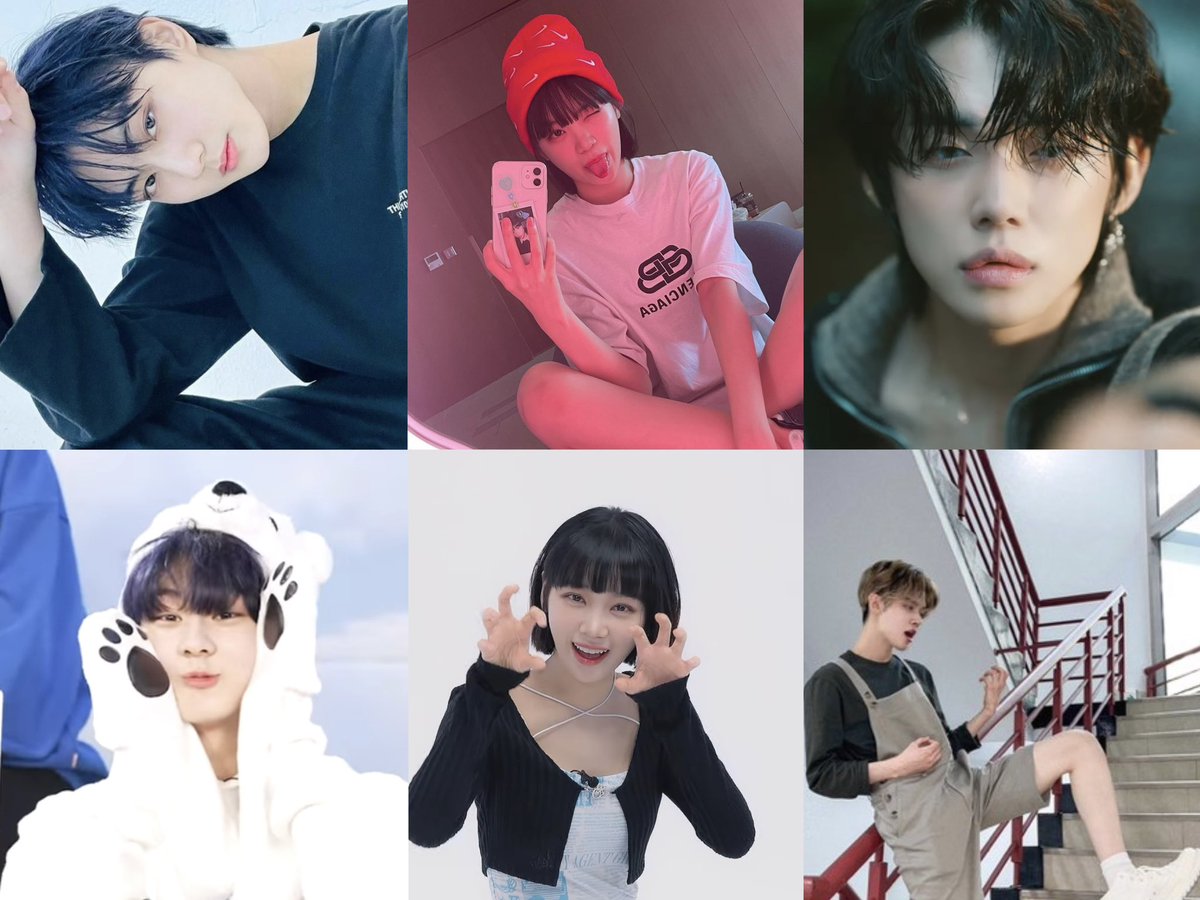 죽희🦖 tweet media