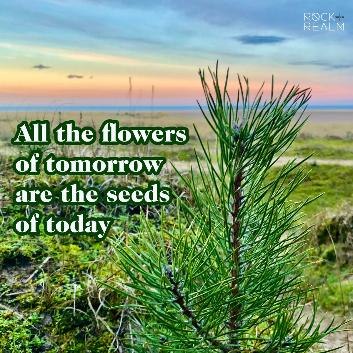 rockandrealm's tweet photo. #Imbolc is a time of renewal &amp; #newbeginnings &amp; is associated with the coming of #spring

It’s a time of hope &amp; renewal 🌱💫

#Imbolcrituals should be personal and aligned with the nature you see around you. 

How are you planning on honouring this turn of the #wheeloftheyear ? https://t.co/uYCXFIKyQS