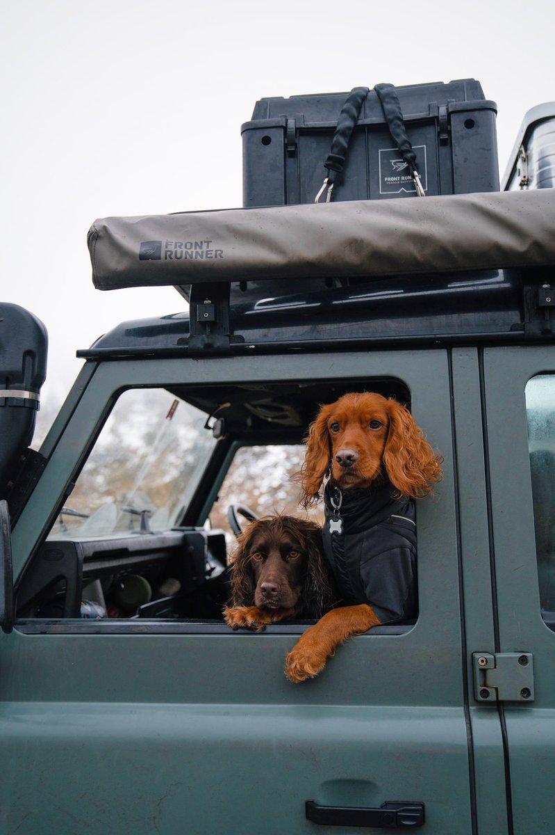 “Get in losers, we’re going hiking”
