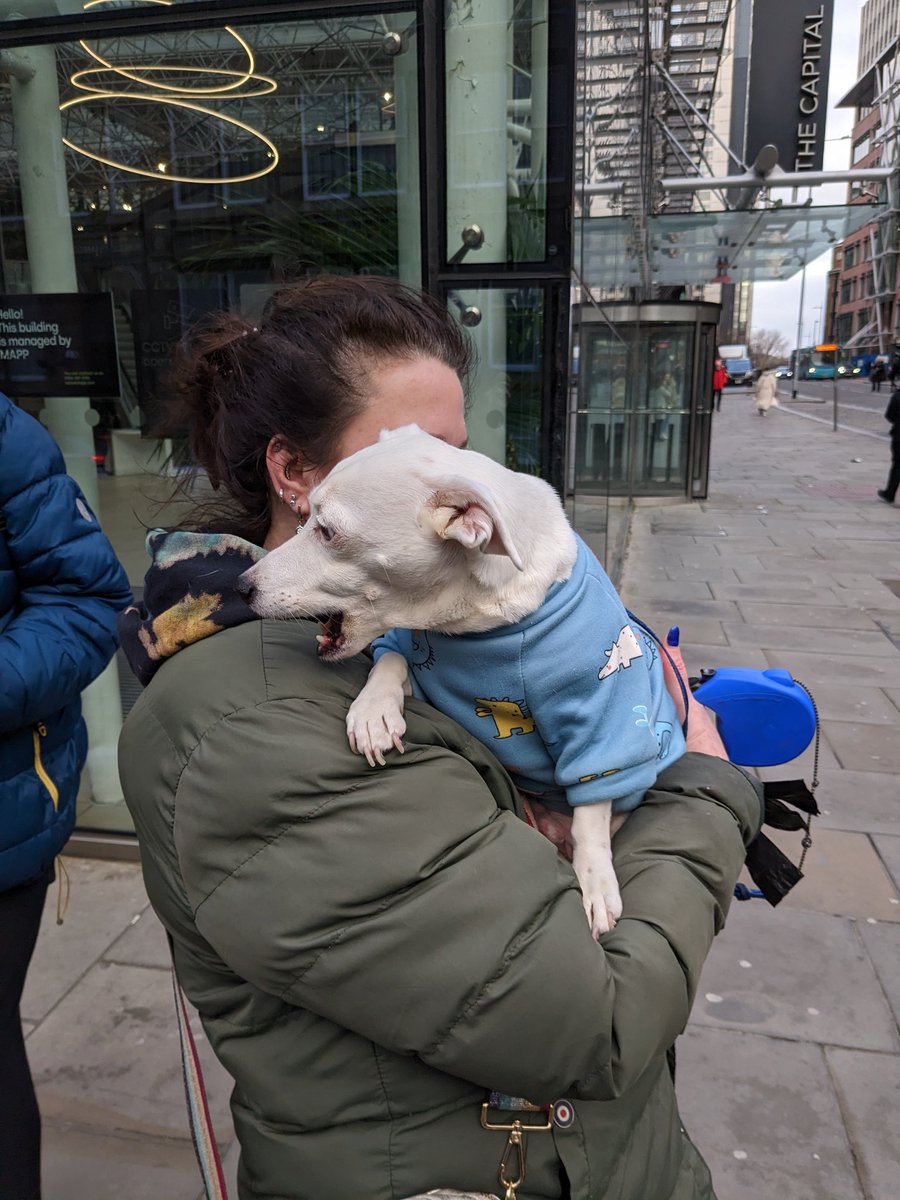 PCSHOMerseyside's tweet image. No strike is complete without a picket line dog. We had loads at The Capital Building...
@pcs_union @PCS_Northwest @campaigns_pcs