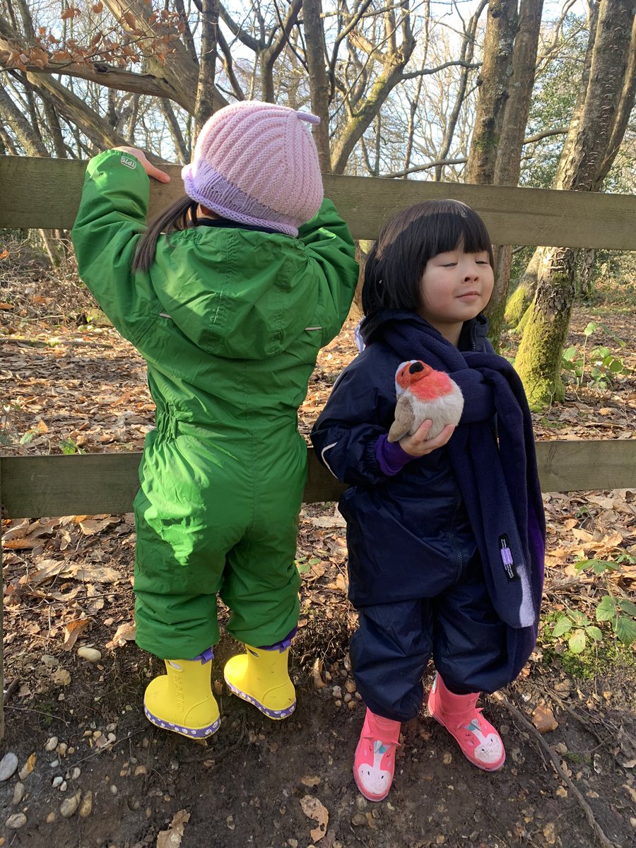Happiness is… finding a robin in the sunshine at forest school @PSHeadSutton <a href="/SurreyWT/">Surrey Wildlife Trust</a>