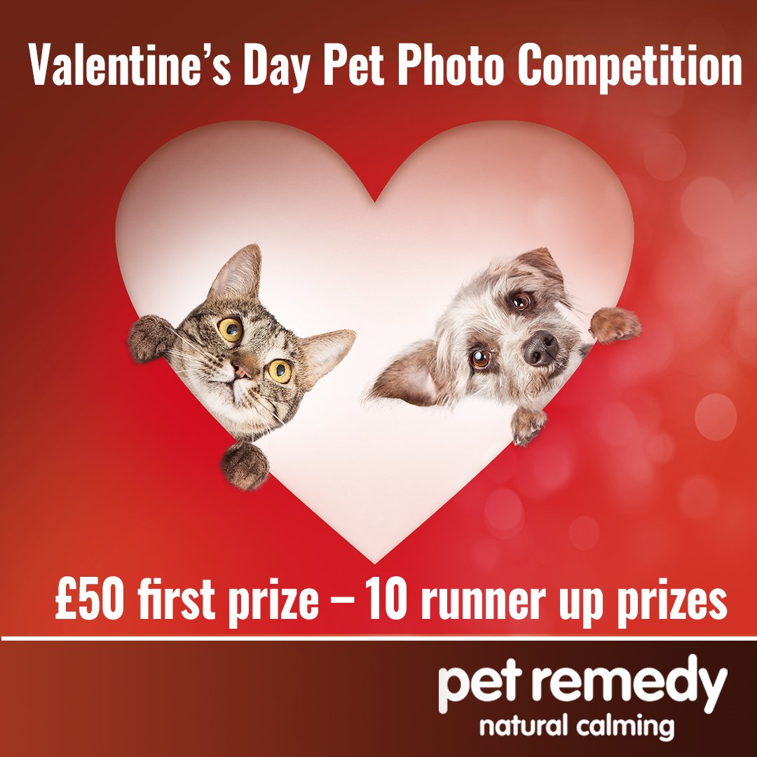 Submit a valentine themed photo of your pet and the photo with the most votes wins a £50 PET REMEDY VOUCHER plus 10 runners up will win a mini pet calming spray.⁠ ⁠ Competition ends MIDNIGHT 13TH FEBRUARY.⁠ GOOD LUCK 🤞⁠ ⁠ a.pgtb.me/qVWC72