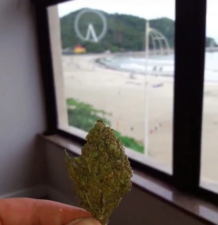 HeavyUser4's tweet image. Me gustas Marijuana, me gustas tu.😘💨