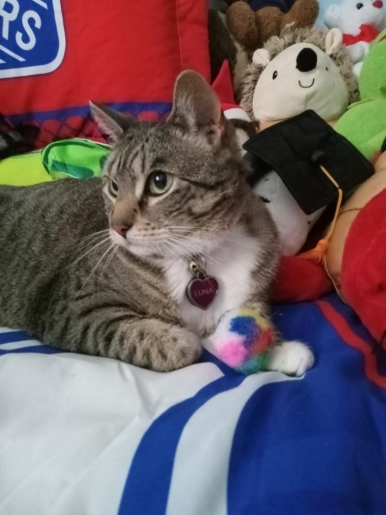 Maria Abate-Emde tweet media