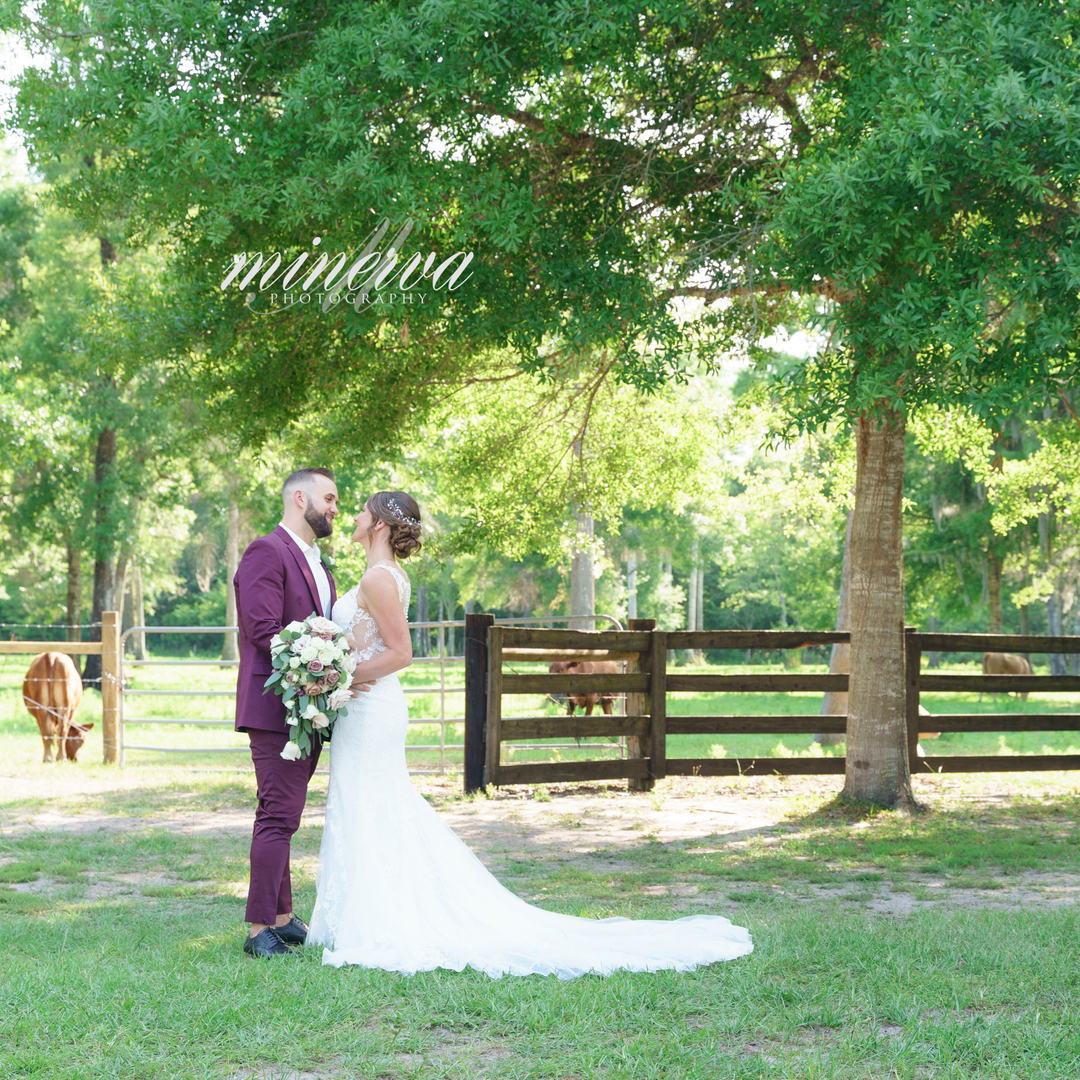 MinervaPhoto's tweet image. Picture perfect ♥️
How many cows do you spot?
.
Photographer: @minervaphotography | Venue: @cypresscreekfarmhouse | Caterer: @premiereventsorlando | Cake: @sweetmissvs | Florist: @cdcfloral | Makeup &amp;amp; Hair (Bride): @aboutfacedesignteam | Makeup &amp;amp; Hair (Bridesmaids): @haironth
