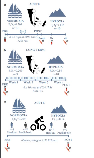 japplphysiol's tweet image. #ArticlesInPress “Regulation of the #endocannabinoid system by endurance and resistance #exercise in #hypoxia in human skeletal muscle”
Sophie van Doorslaer de ten Ryen, et al. 
ow.ly/YHsU50MC94C #JAPPL