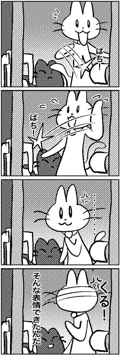 #いわねこ
135 