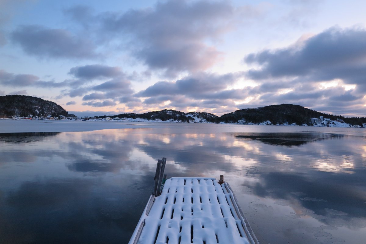 “Sometimes I need only to stand wherever I am to be blessed.”

~Mary Oliver #quote