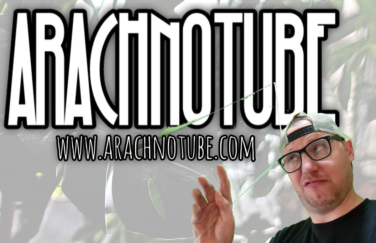 ArachnoTuber's tweet photo. Total overhaul on the Patreon - members will get exclusive vids, live hangouts, wristbands, merch and access to WhatsApp group 
Any premium documentary content sold on the website will be free for members
https://t.co/ZlurG3ogiV https://t.co/3Bs2wCerfx
