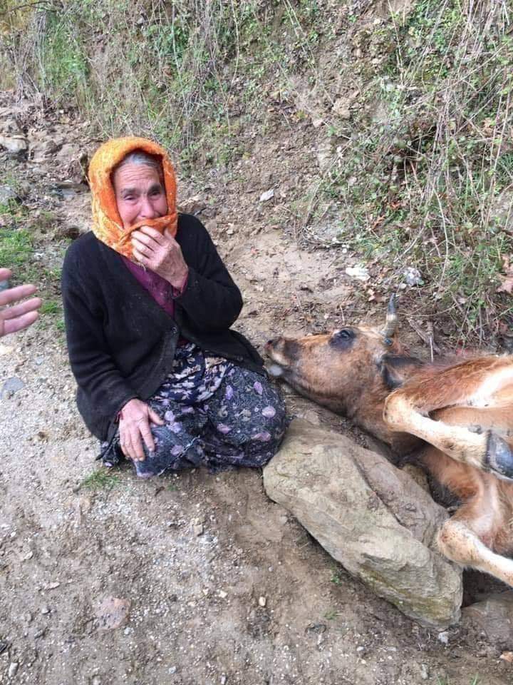 Sabiha Özel'in 'Fatma' ismini verdiği ineği, uçurumdan düşerek telef olmuş ve yaşlı kadın  Üzüntüsünden sabaha kadar uyuyamadığını ve gözyaşı döktüğünü söylemişti. Şarkıcı Haluk Levent, ineği uçurumdan düşerek telef olan yaşlı kadına iki tane inek alıp hediye etmiş 👏👏👏