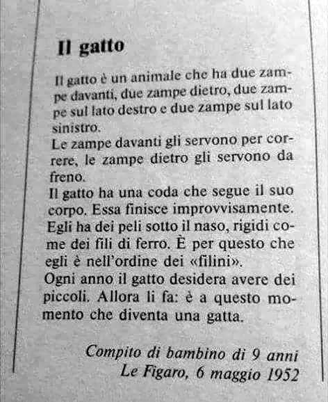Sfigatto's tweet photo. TEMA: IL GATTO 🐱 https://t.co/kg3lDGu9ID