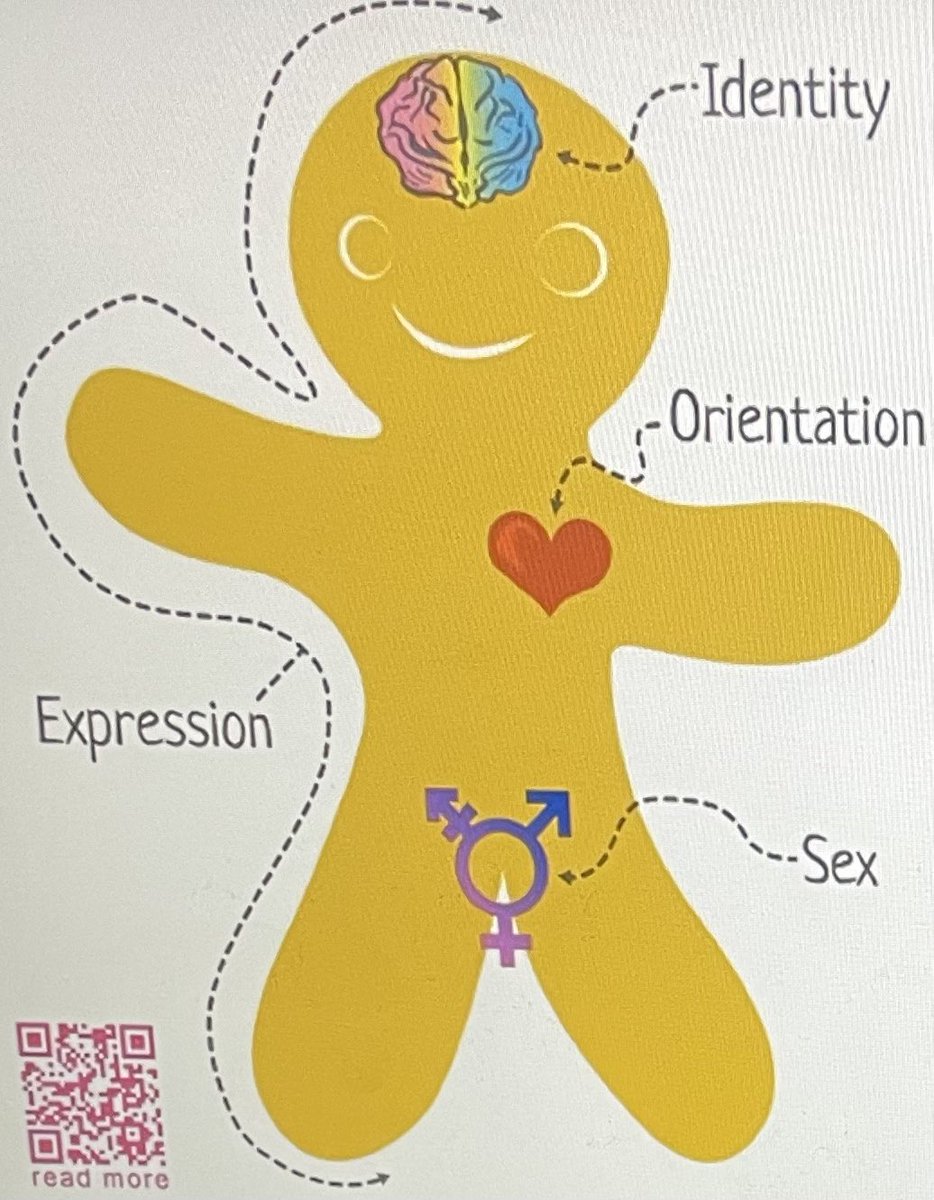 Diversity_Mark's tweet image. 🏳️‍🌈🏳️‍⚧️ Essential learning on #genderidentity #genderexpression #sexualorientation with @TRPNI at todays Lunch &amp;amp; Learn! 🏳️‍⚧️🏳️‍🌈