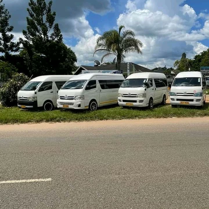 VillaTours1's tweet photo. @Savannah_Zone Luxury minibuses for hire anywhere anytime
+263772333929 https://t.co/3nTMe09uWx
