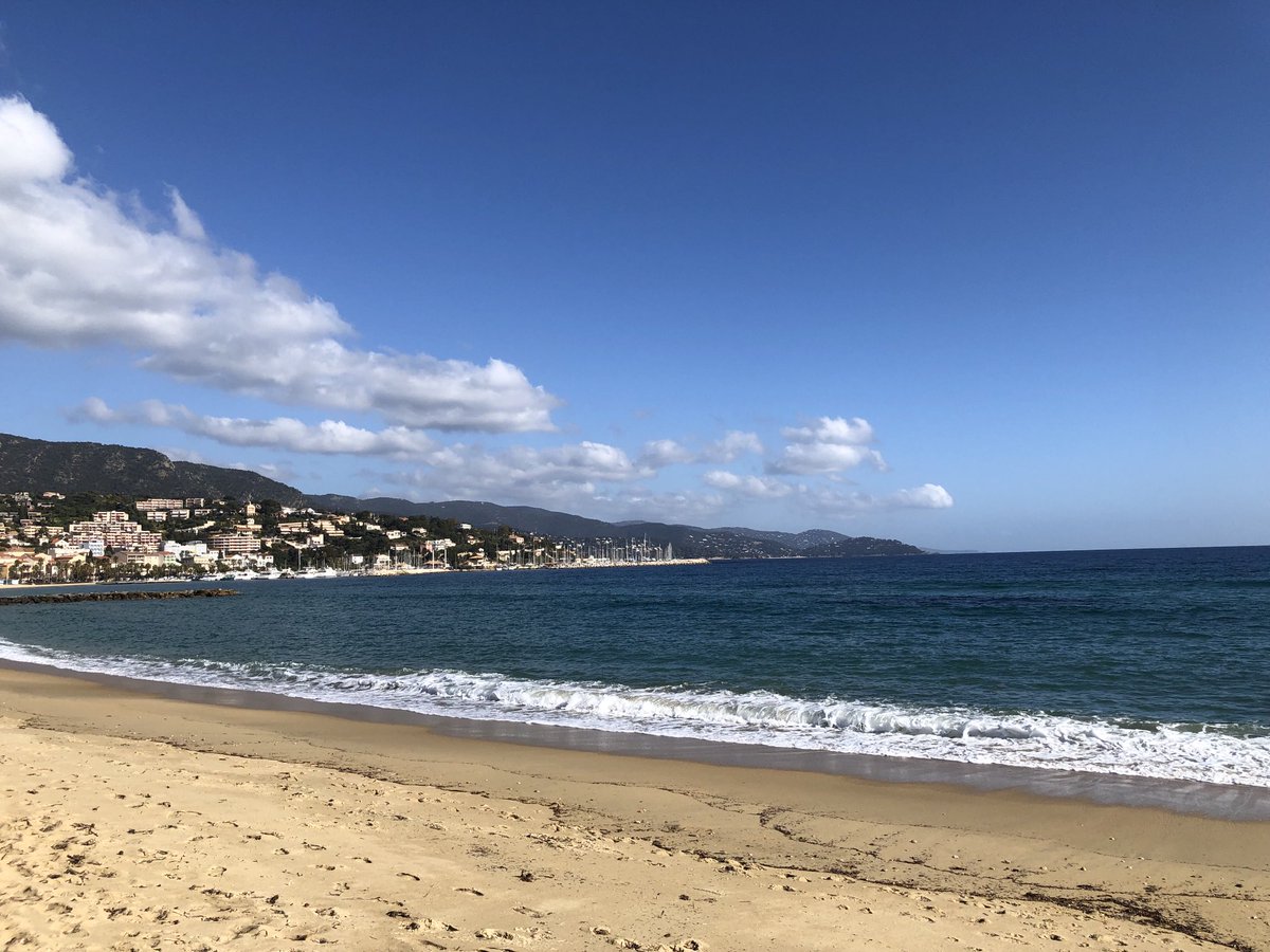 Mathchal tweet media