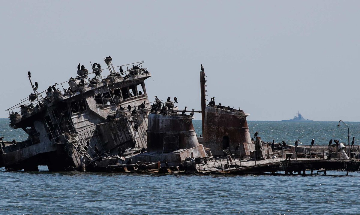 New today, the latest in our joint briefing series with @ZoiEnvironment examines how the conflict in #Ukraine is impacting its marine and coastal areas.  