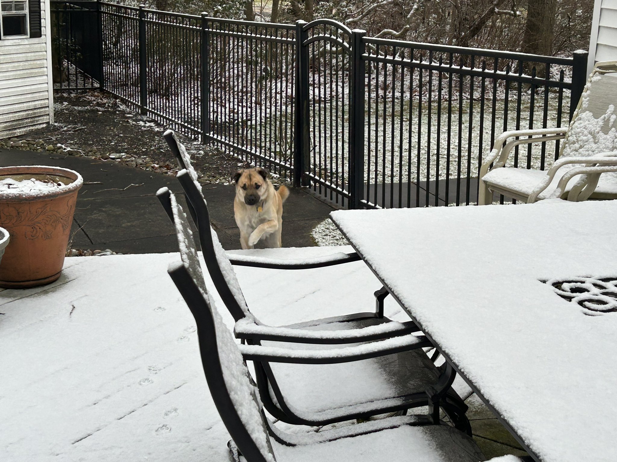 Chris Sowers on Twitter "It’s a winter wonderland at my house this