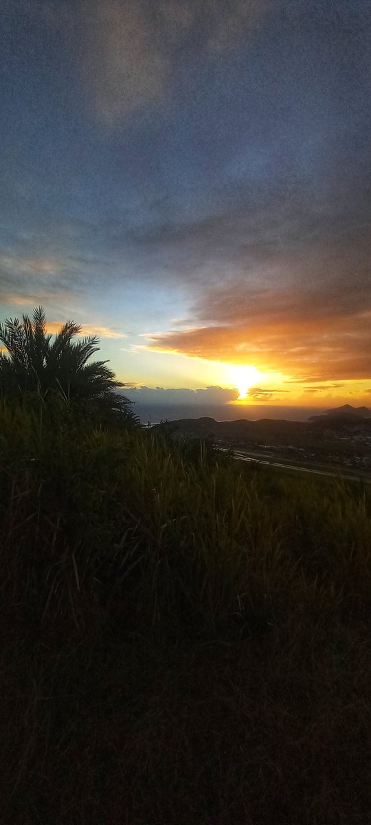esotericgarden1's tweet photo. never resentful
sunset watches the darkness
differing roles they play

#haikufeels #haiku https://t.co/ADXnkcgQZ5