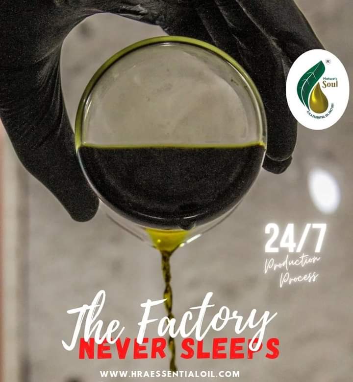 HRA_Oils's tweet image. We HRA Essential Oil Factory, have state of the art steam  with 24 hours and 7 days a week and other various distillation process which gives the natural and purest form - 

#youngliving, #yleo, #doterralove, #doterralife, #wellness, #essentialoilsforthewin, #yleoid, #organic