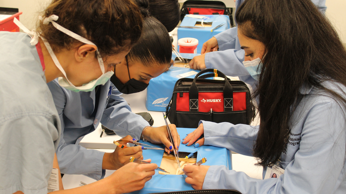 The UMass Chan Medical School Baccalaureate MD (BaccMD) Pathway program provides sophomores from <a href="/UMass/">University of Massachusetts</a> campuses with hands-on clinical immersion opportunities and mentorship. Apply by Feb. 6: bit.ly/40aidy6 #PreMedTwitter <a href="/UMassAmherst/">UMass Amherst</a> <a href="/UMassBoston/">UMass Boston</a> <a href="/UMassLowell/">UMass Lowell</a> <a href="/UMassD/">UMass Dartmouth</a>