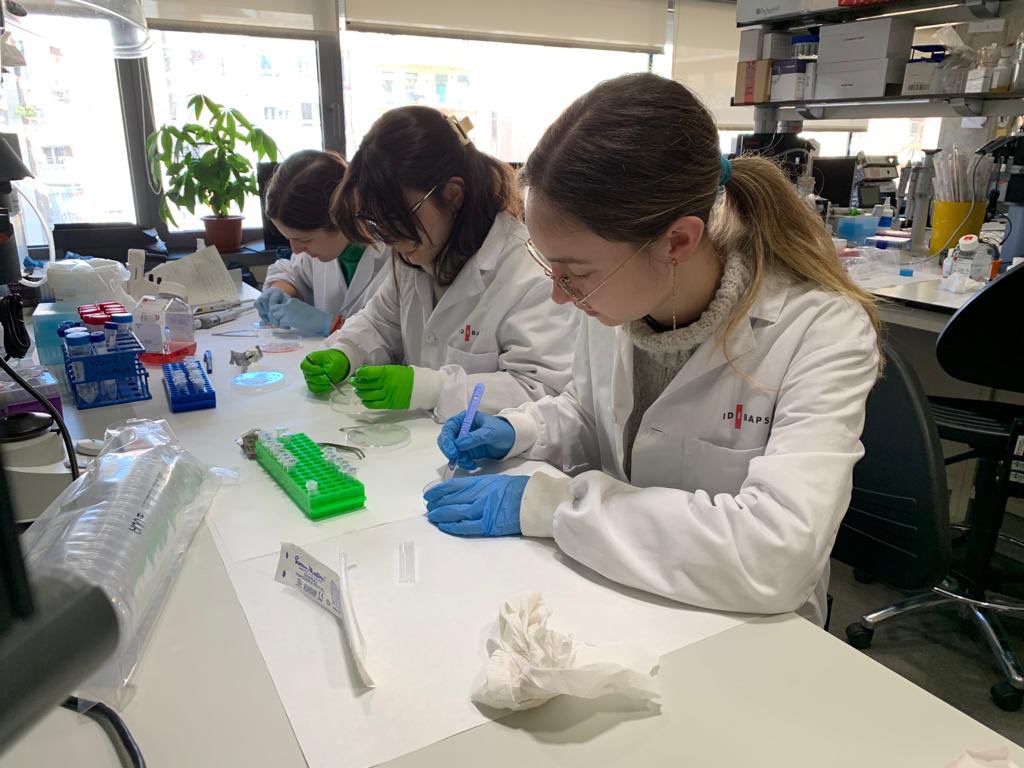 Always ready to help each other at the lab 🫶🏻 #teamwork #wetlab <a href="/microalba/">Alba Garrido</a> <a href="/victoriamaria_g/">Victoria Gudiño</a> <a href="/ElisaMelon9/">Elisa Melón</a> 📸 by <a href="/AzucenaSalas17/">Azucena Salas</a>