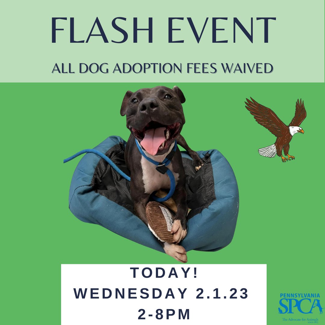 TODAY is the DAY!

ALL dog adoption fees are waived at our Philadelphia headquarters from 2-8pm!

We have so many wonderful pups looking for homes, and we can't wait to make matches.

Here is a reminder of all the things you'll need: pspca.org/adoption-proce…