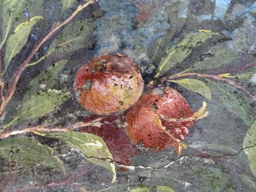 Livia_en_Roma's tweet photo. Más de 20 especies botánicas aparecen en los frescos del Jardín de la Villa de Livia en Prima Porta. Un jardín imposible, en el que crecen y florecen ejemplares de diferentes estaciones del año en una explosión de belleza y exuberancia. https://t.co/LiOH6h4JWS