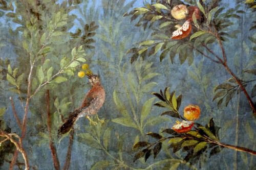 Livia_en_Roma's tweet photo. Más de 20 especies botánicas aparecen en los frescos del Jardín de la Villa de Livia en Prima Porta. Un jardín imposible, en el que crecen y florecen ejemplares de diferentes estaciones del año en una explosión de belleza y exuberancia. https://t.co/LiOH6h4JWS