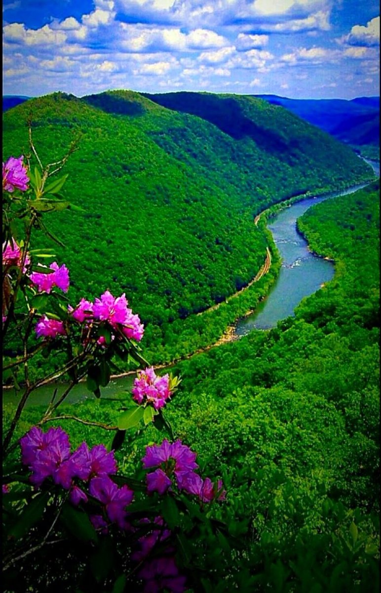 Beautiful 💙nature