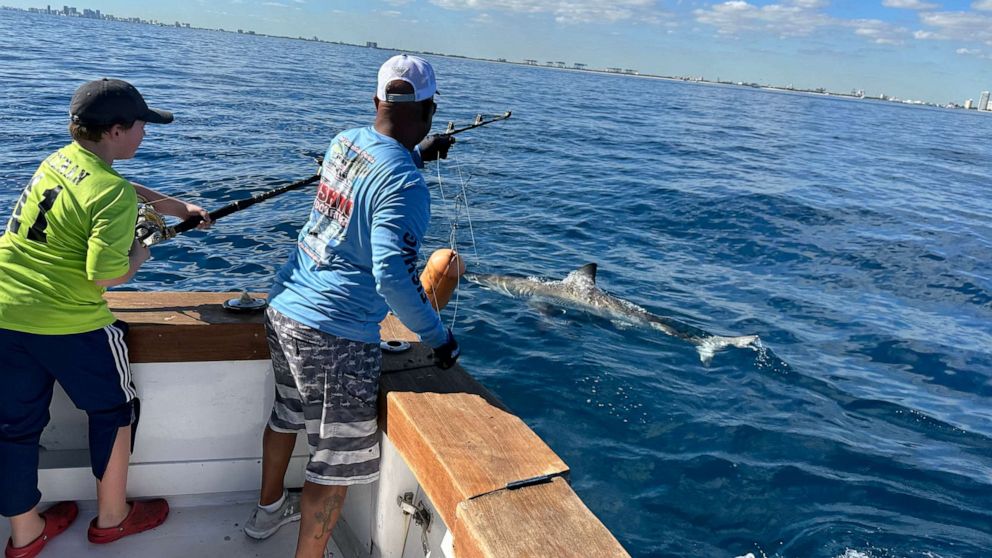 SouthSlopePeds's tweet photo. A 12 year old boy, fishing during a trip to FL, had nothing short of the catch of his life. Campbell Keenan spent 45 minutes fighting to reel in the fish before it was close enough for him to see what kind it was.https://t.co/1VYp0OyxuP https://t.co/Ed2aMheOO2