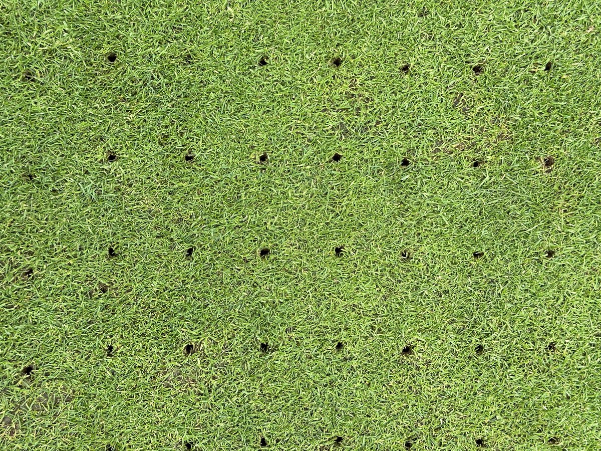 Peter Meek tweet media