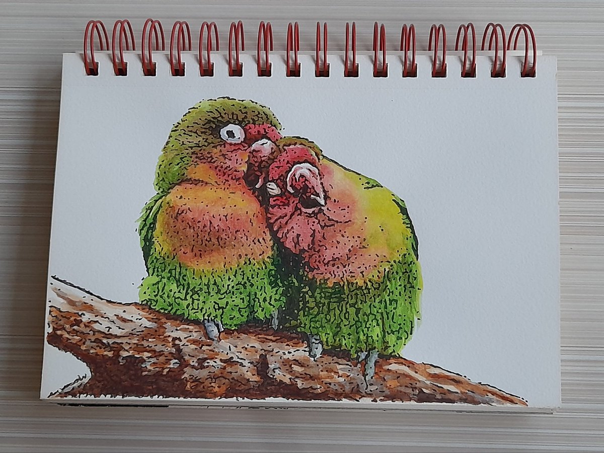 arteysketchbook's tweet photo. Pair of birds ❤❤❤
#birdpair #animaldrawing #wildlifedrawing #beautifulbirds #animalart #artezasketchbook #colorpencilart #naturejournal #sketchbook #birdsofinstagram https://t.co/ZqeaRp5PGv