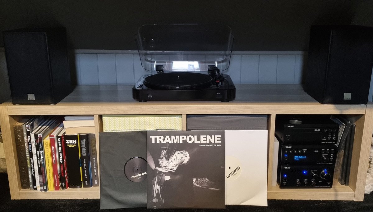 tripletoy's tweet photo. Helping make the chores less of a chore. Some quality vinyl from @Trampolene_Band #pickapocketortwo https://t.co/BfAzUC3g9x