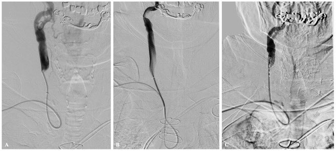 Elad Levy tweet media